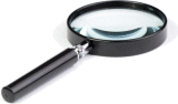 SEO Workshop