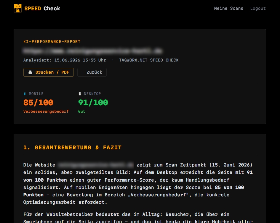 TAGWORX SPEED CHECK Report TAGWORX SPEED CHECK Report