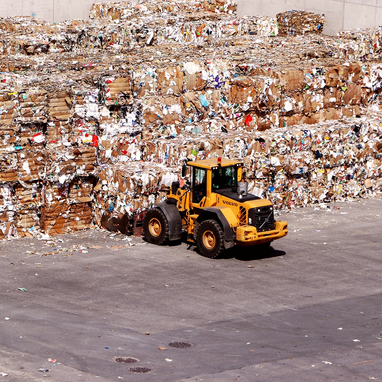 Google testet KI-generierte Titel in den Suchergebnissen